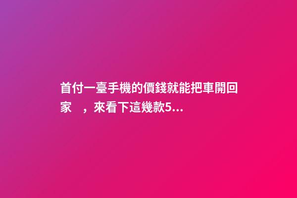 首付一臺手機的價錢就能把車開回家，來看下這幾款5萬元級別的小型車